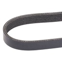 V-ribbed Belt