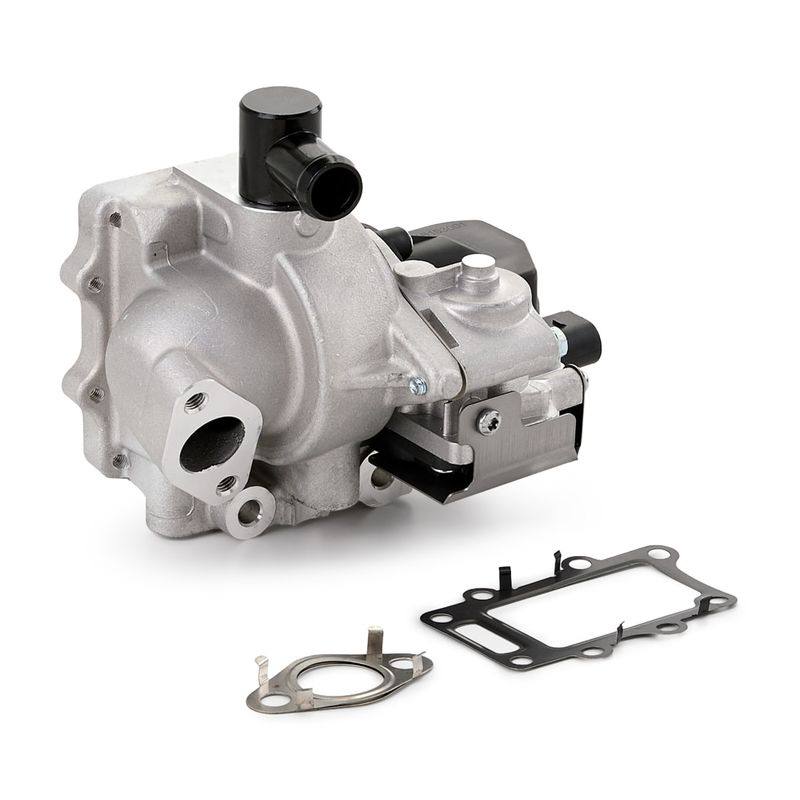 EGR Module