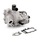 EGR Module