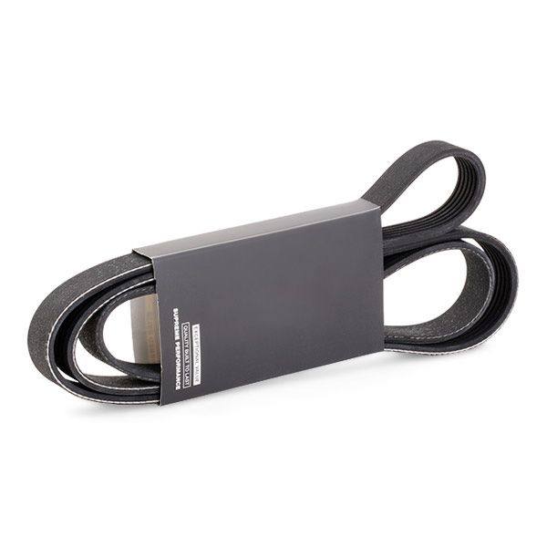 V-ribbed Belt
