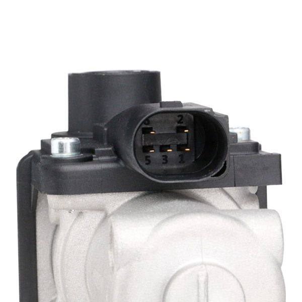EGR Valve