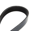 V-ribbed Belt