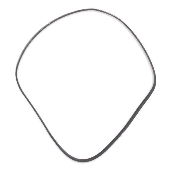 V-ribbed Belt