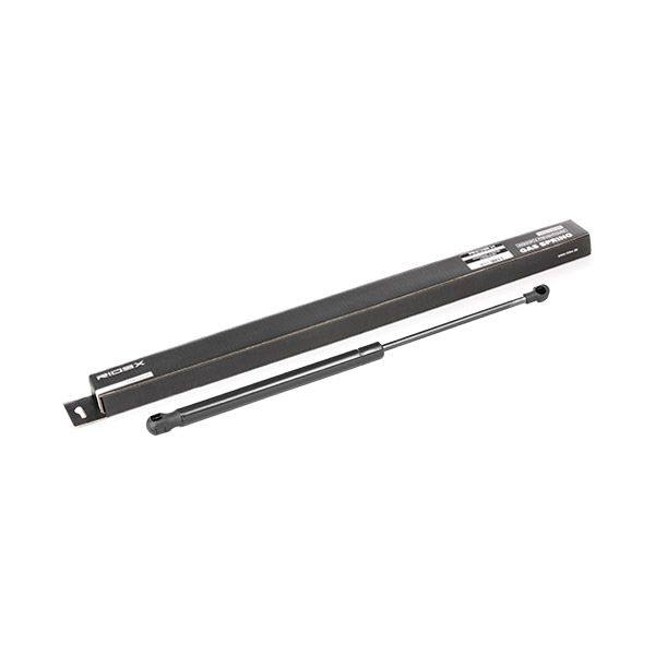 Gas Spring, boot/cargo area