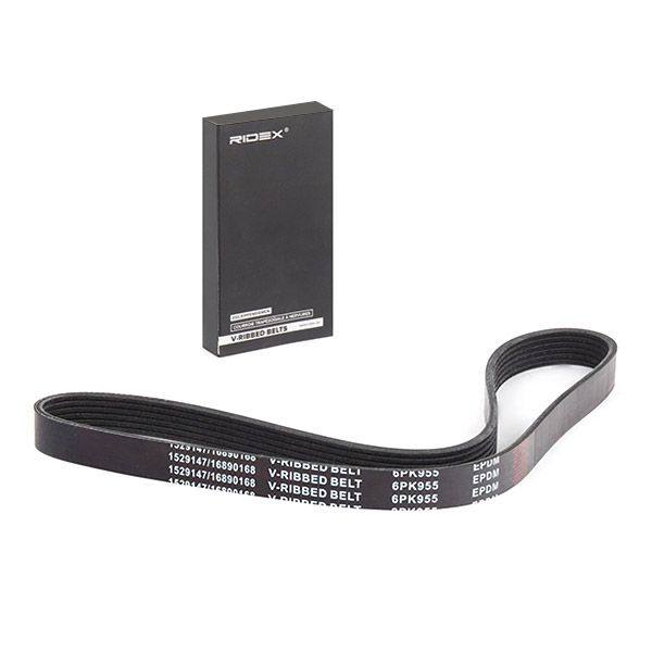 V-ribbed Belt