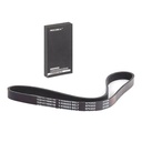 V-ribbed Belt