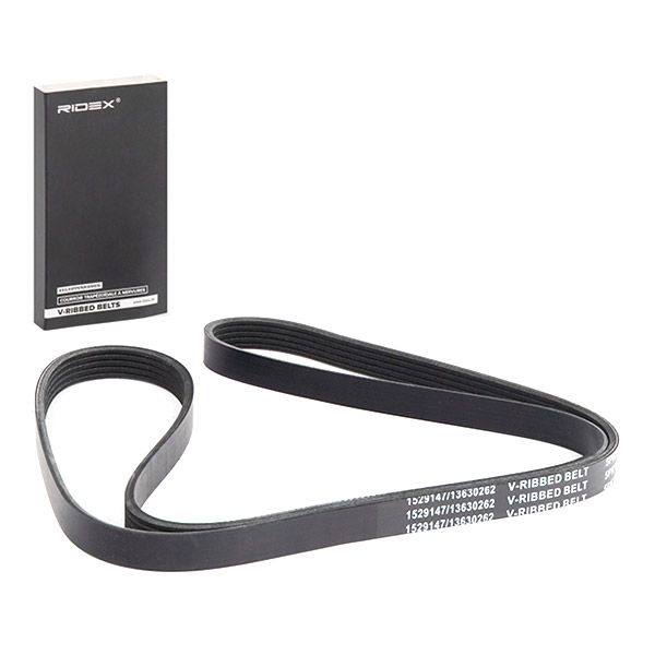 V-ribbed Belt