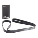 V-ribbed Belt