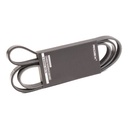 V-ribbed Belt