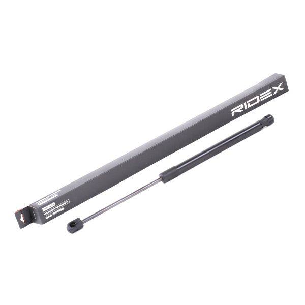 Gas Spring, boot/cargo area