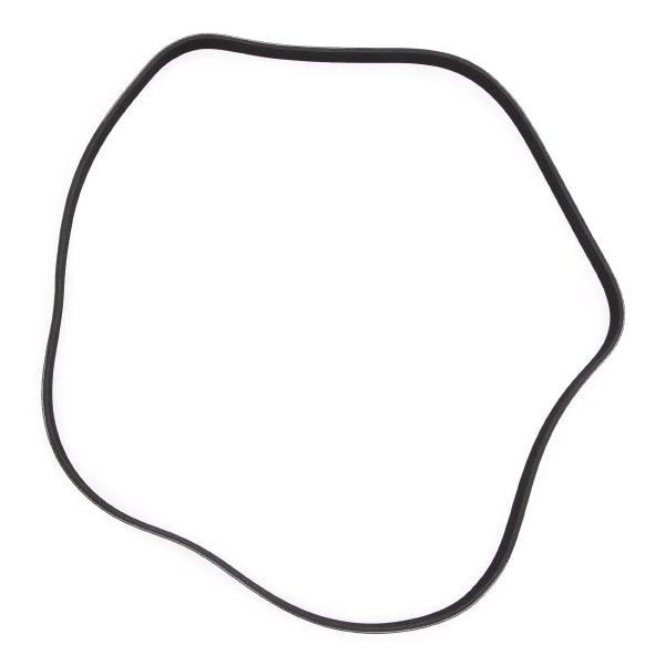 V-ribbed Belt
