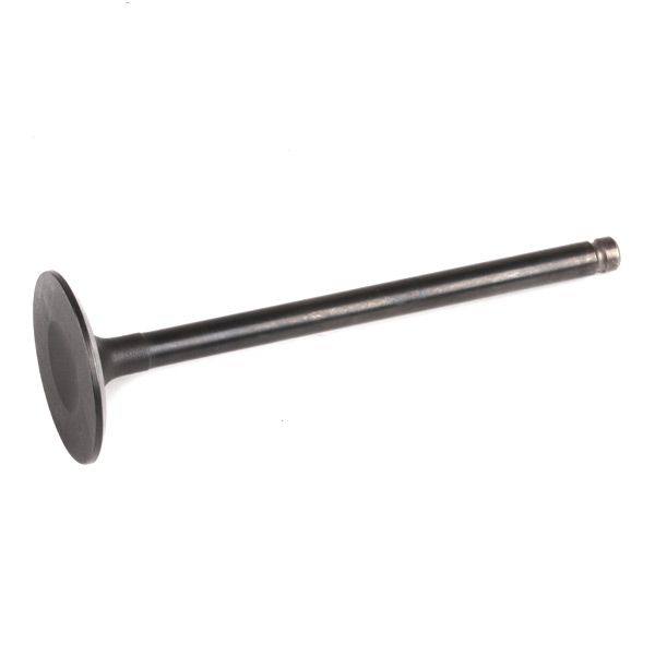 Intake Valve