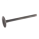 Intake Valve