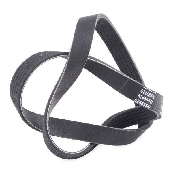 V-ribbed Belt