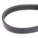 V-ribbed Belt