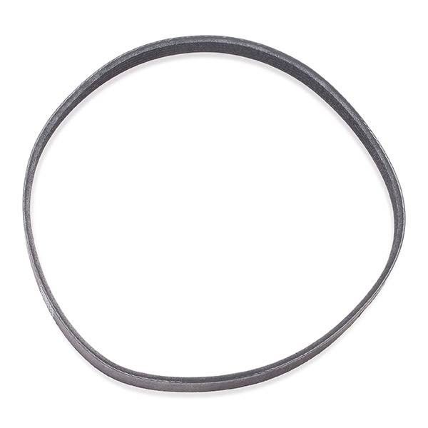 V-ribbed Belt