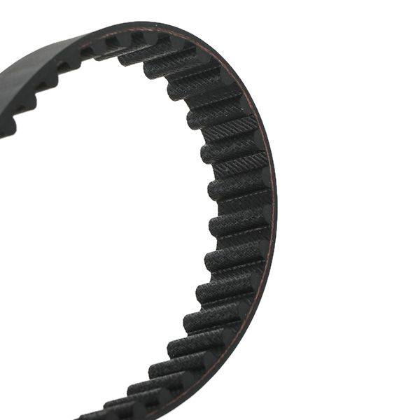 Timing Belt