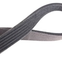 V-ribbed Belt