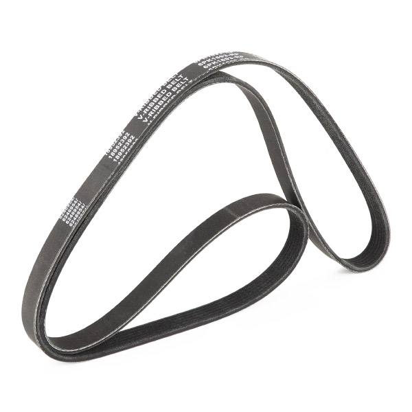 V-ribbed Belt