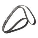 V-ribbed Belt