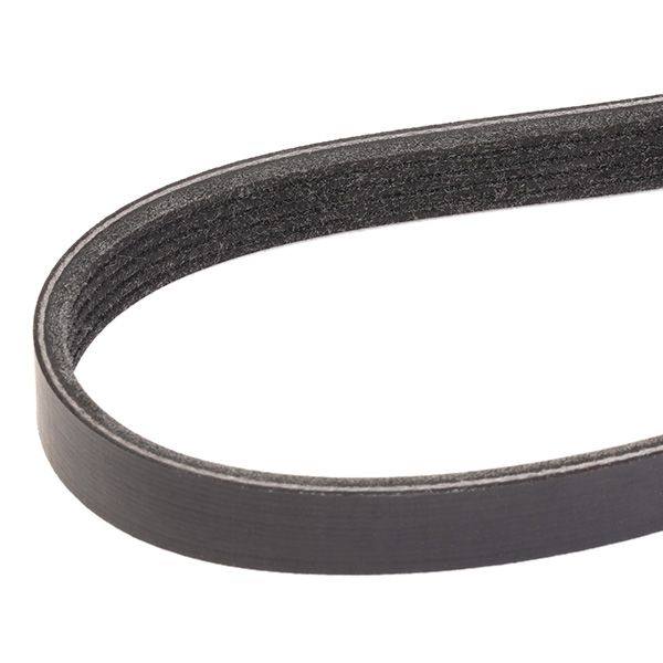 V-ribbed Belt
