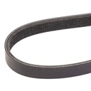 V-ribbed Belt