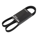 V-ribbed Belt