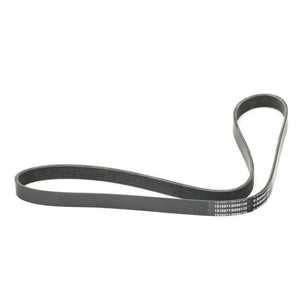 V-ribbed Belt