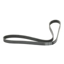 V-ribbed Belt
