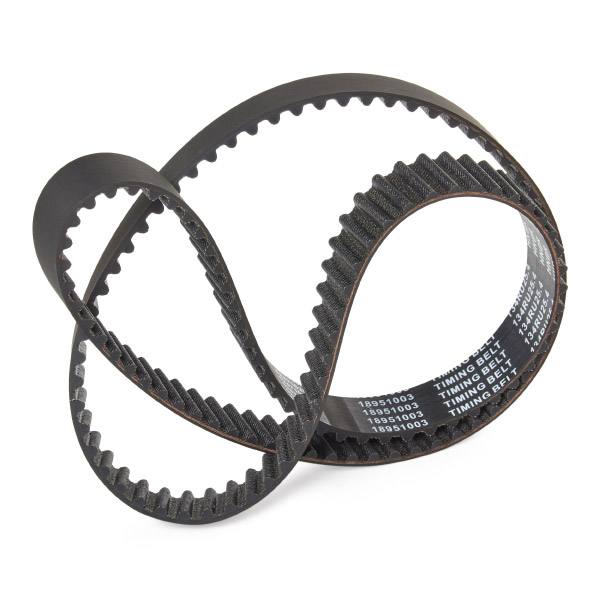 Timing Belt