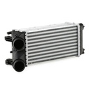 Charge Air Cooler