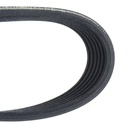 V-ribbed Belt