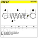 Suspension Spring