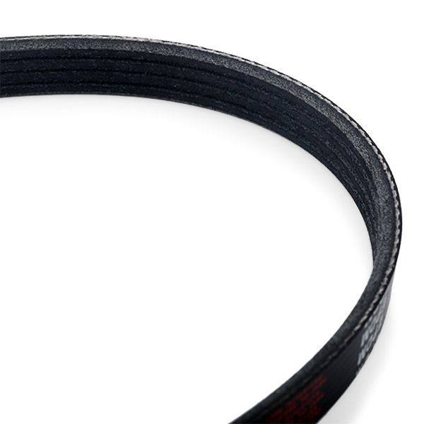 V-ribbed Belt