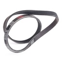V-ribbed Belt