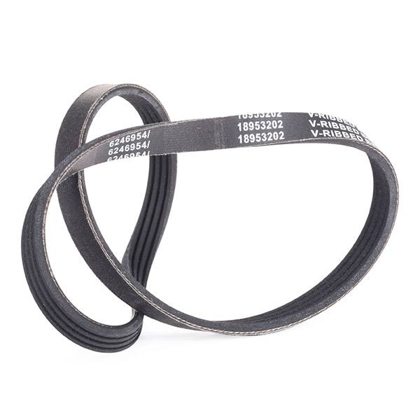 V-ribbed Belt