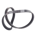 V-ribbed Belt