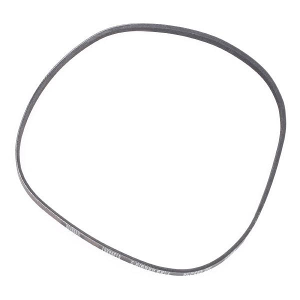 V-ribbed Belt