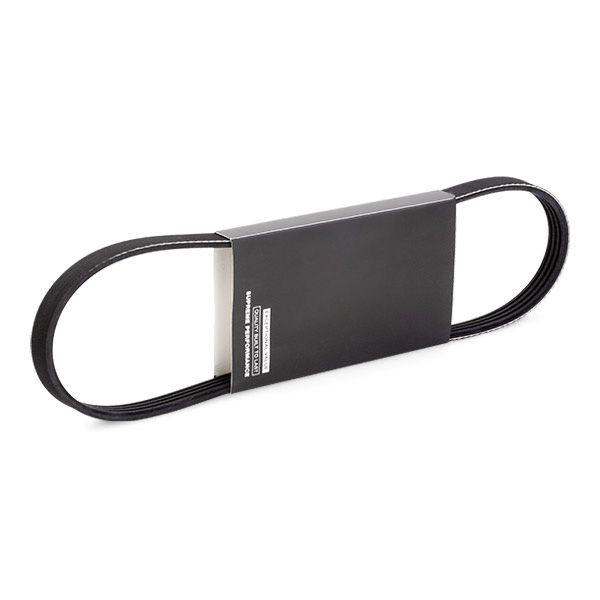 V-ribbed Belt