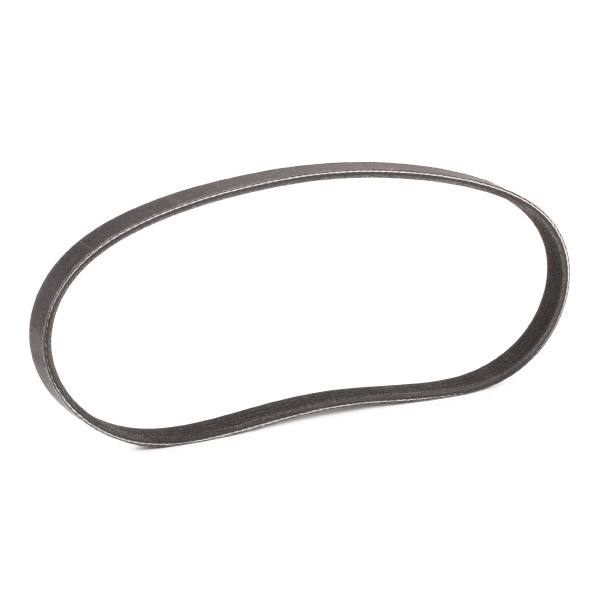 V-ribbed Belt