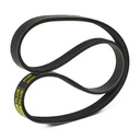 V-ribbed Belt