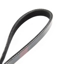 V-ribbed Belt