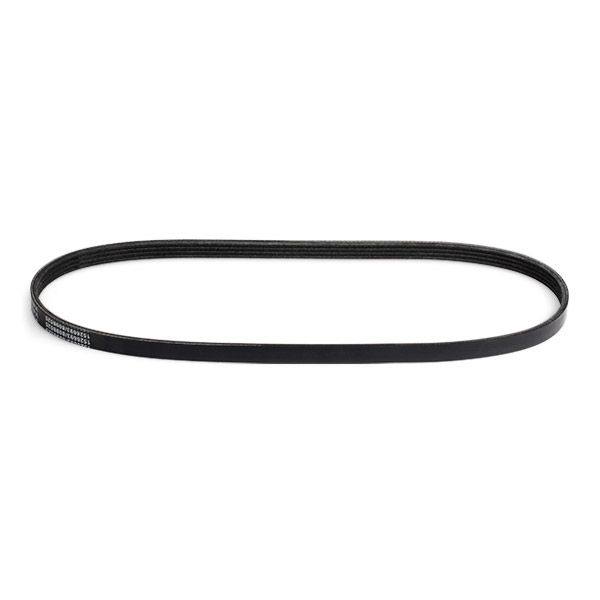 V-ribbed Belt