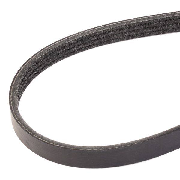 V-ribbed Belt