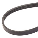 V-ribbed Belt
