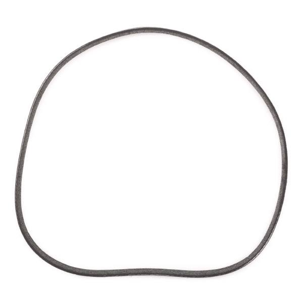 V-ribbed Belt