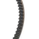 Timing Belt