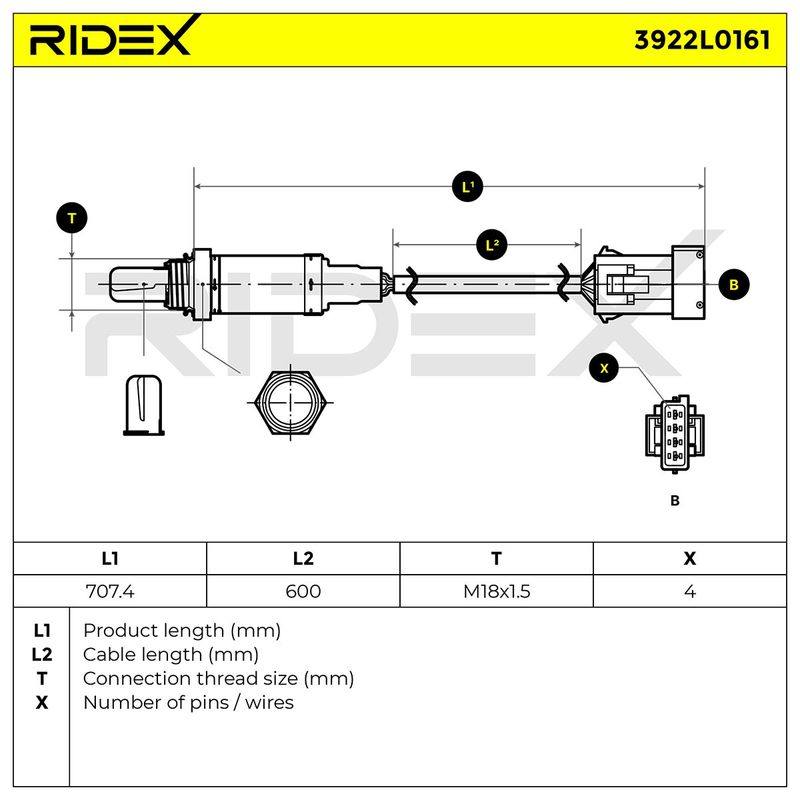 Oxygen Sensor