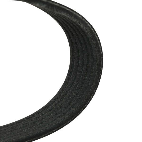 V-ribbed Belt