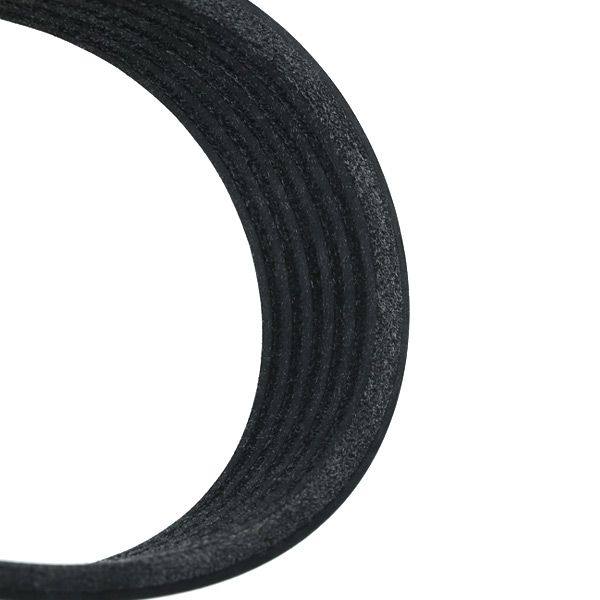 V-ribbed Belt
